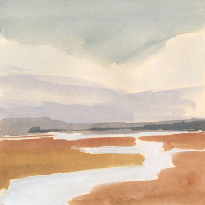 Marais ombré I