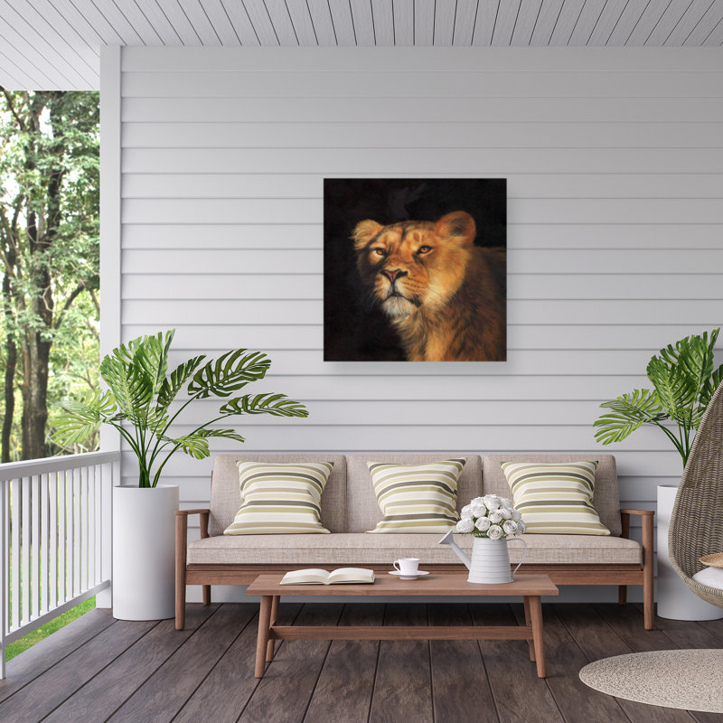 Toile d'extérieur David Stribble Study Of A Lioness, H 24 po x l 24 po