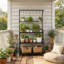 Display Cabinet
