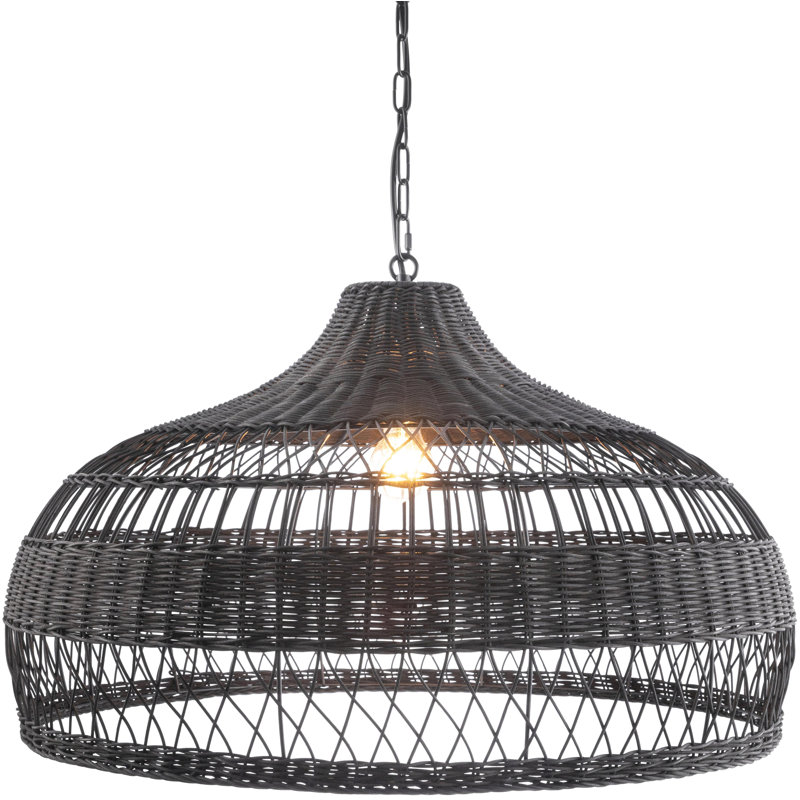 Luminaire suspendu en forme de dôme noir à 1 lumière DeLorin
