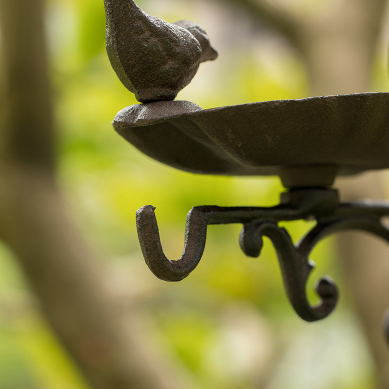 Mangeoire à oiseaux pour l'extérieur