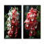 Tranquil rose et blanc I - Orchidées sur toile, ensemble de 2 reproductions d'art sur toile-102578769-102578763