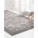Ameire Oriental Indoor Rug