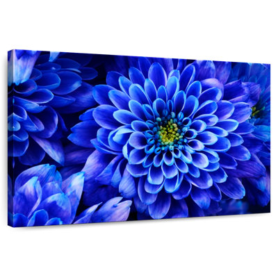 Dahlia Harnek exquis