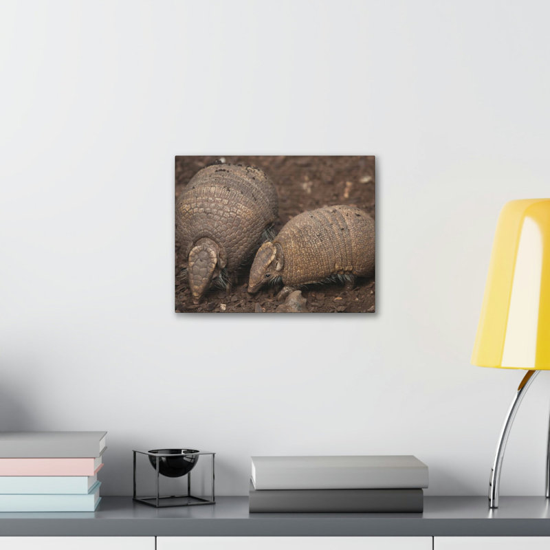 «Armadillo Couple», impression d'art mural, H 12 po x l 16 po