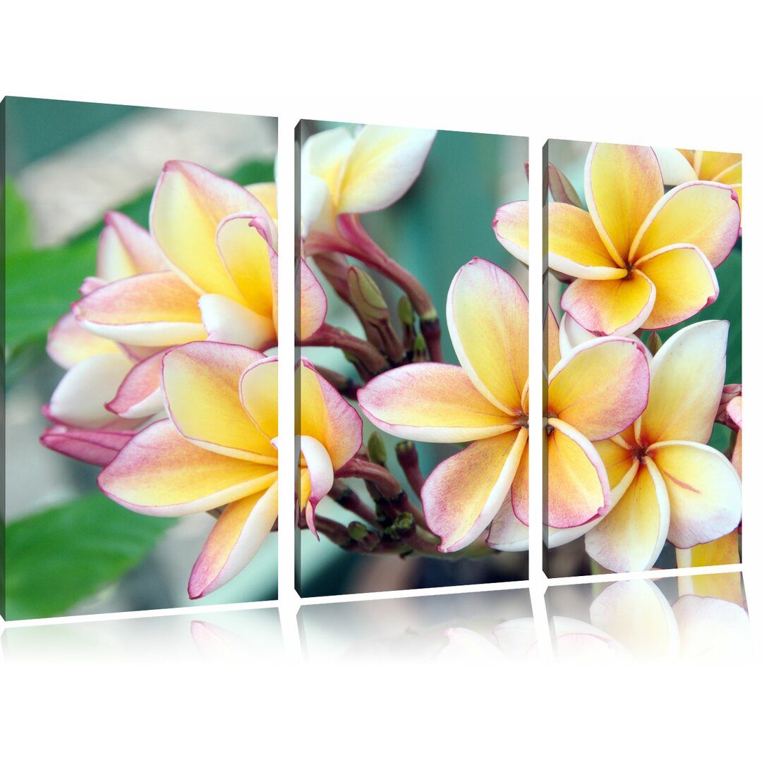 3-tlg. Leinwandbilder-Set „Monoi Blüten auf Hawaii", Fotodruck