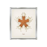 Nautical Art III Print by Sofia Fox