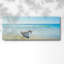 Bateau sur une plage IV-195241298