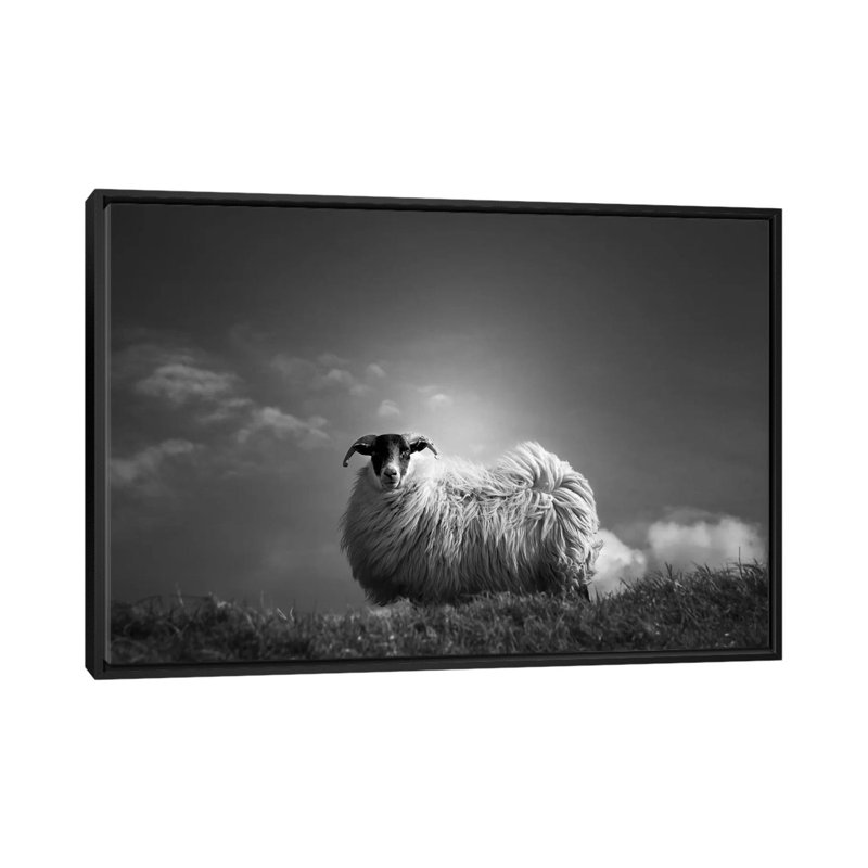 « le regonfler », reproduction de photo sur toile tendue, H 18 po x l 26 po x P 1,5 po, Toile avec cadre noir, Pas de tapis