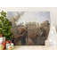 Pfeifer Wrapped Canvas Print Set-234295187