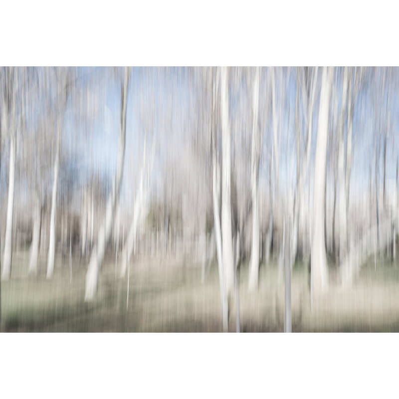 Wrapped Canvas Print, 50.8 cm H x 76.2 cm W