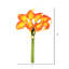 Paraiso 14" Artificial Calla Lily Bundle-21906441