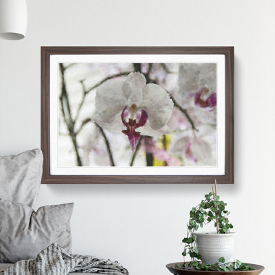 Orchid Flowers Vol.4 - Framed Print