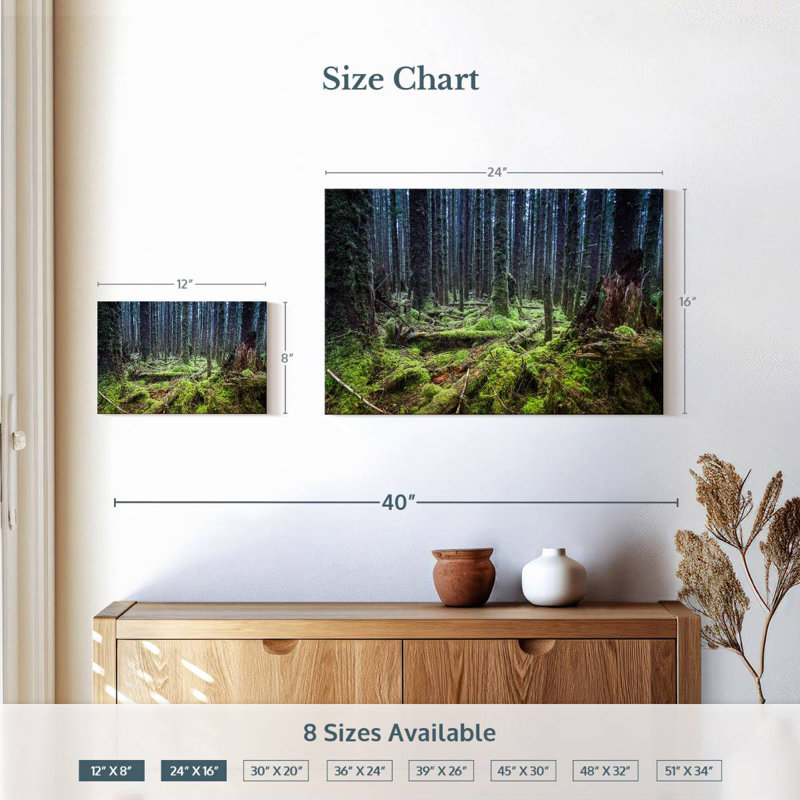 Forêt tropicale Alvord Mossy Hoh, H 16 po x l 24 po