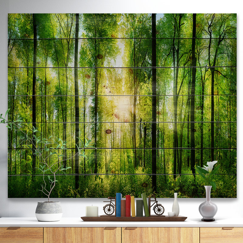 «Forest with Rays of Sun Panorama», photographie, H 36 po x l 46 po x P 0,78 po, Bois naturel