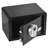 0.29 CUBIC FT BIOMETRIC SECURITY SAFE