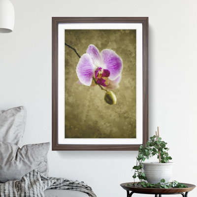 Orchid Flowers Vol.6 - Framed Print
