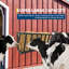 Roosting Bars / Frames-1016437161