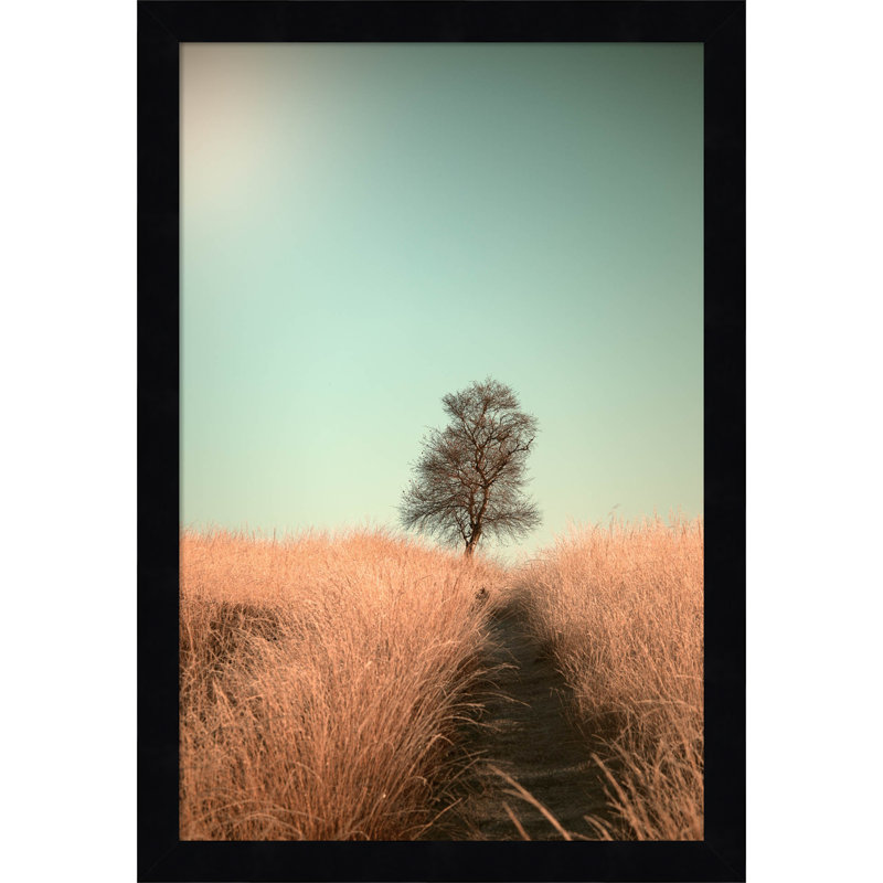 Grass And Path by Jaap Van Den, Black, 12" W x 17" H