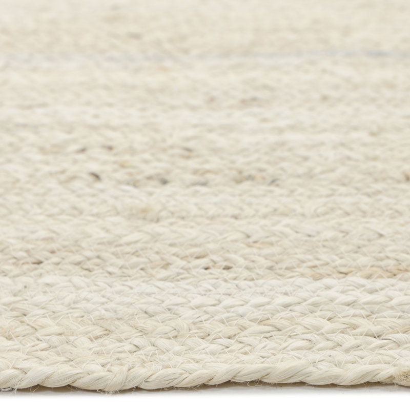 Jute / Sisal Area Rug in Beige, Rectangle 9' x 12'