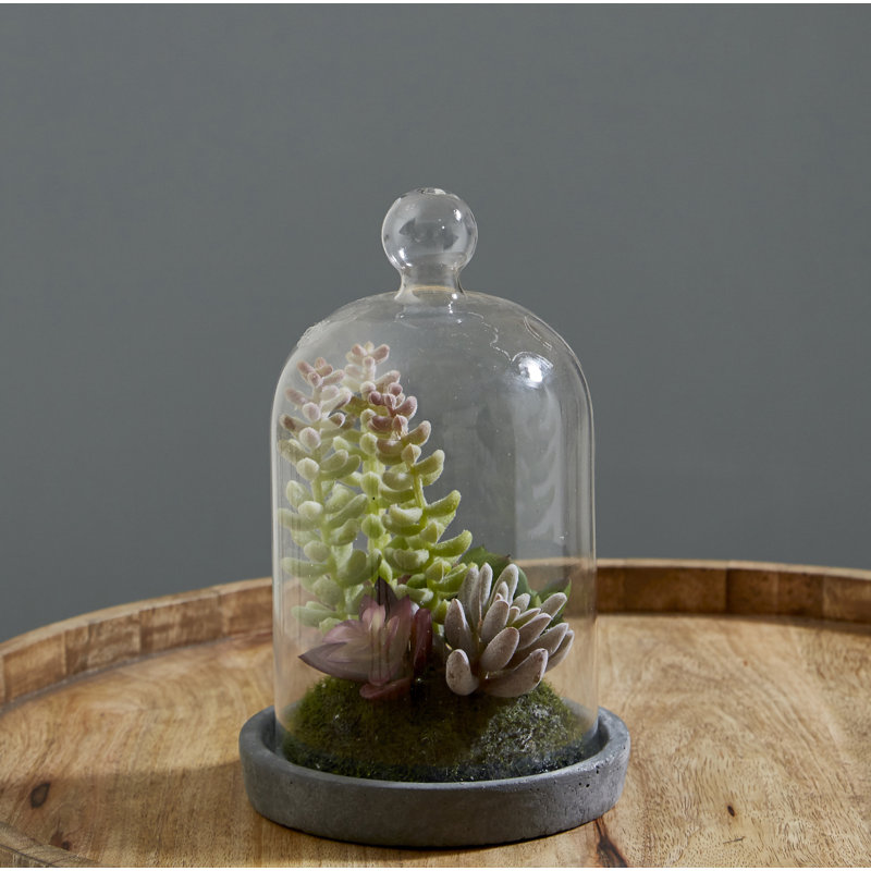 Sydnee 18cm Succulent in Cement Terrarium