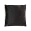 Noah Velvet Square Pillow Cover & Insert-257995883