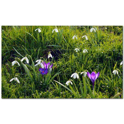Photo de printemps 8 x 8