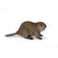 STATUE DE CUB AMERICAN BEAVER