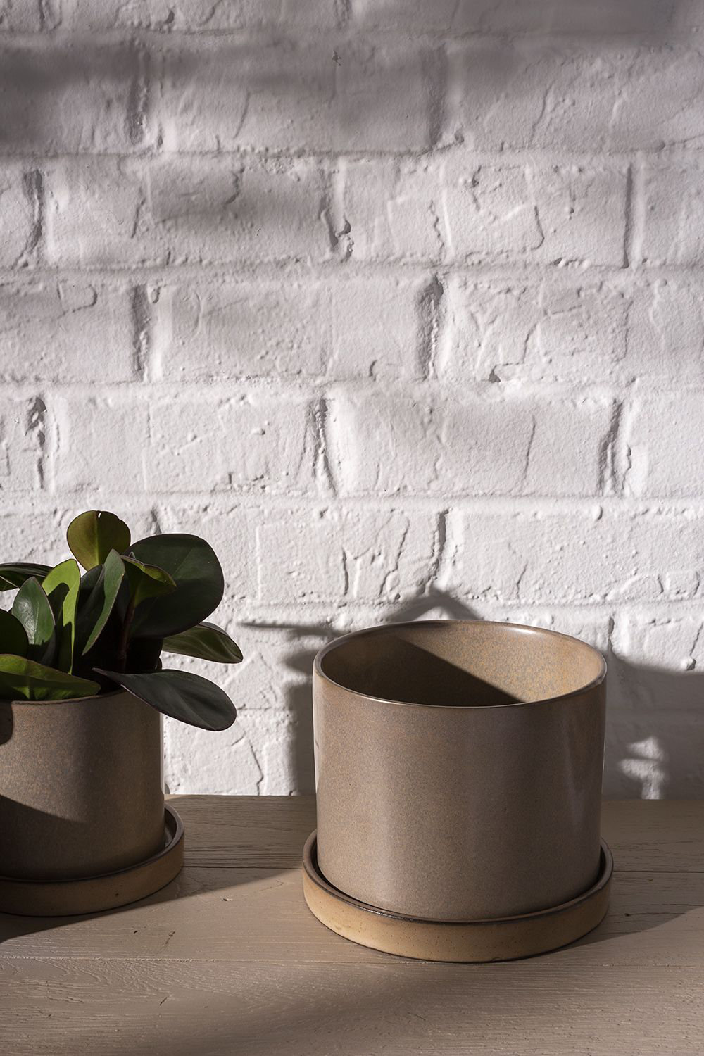 Tyron 7" Ceramic Pot Planter, Tan, 7" H x 6.5" W x 6.5" D