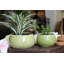 Jewel Freeform Bowl By -973586757-973586758