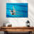 Sireci Synchronized Swimmers-108126907