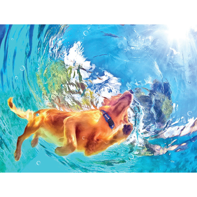 Baignade nageuse sur toile, H 20 po x l 30 po