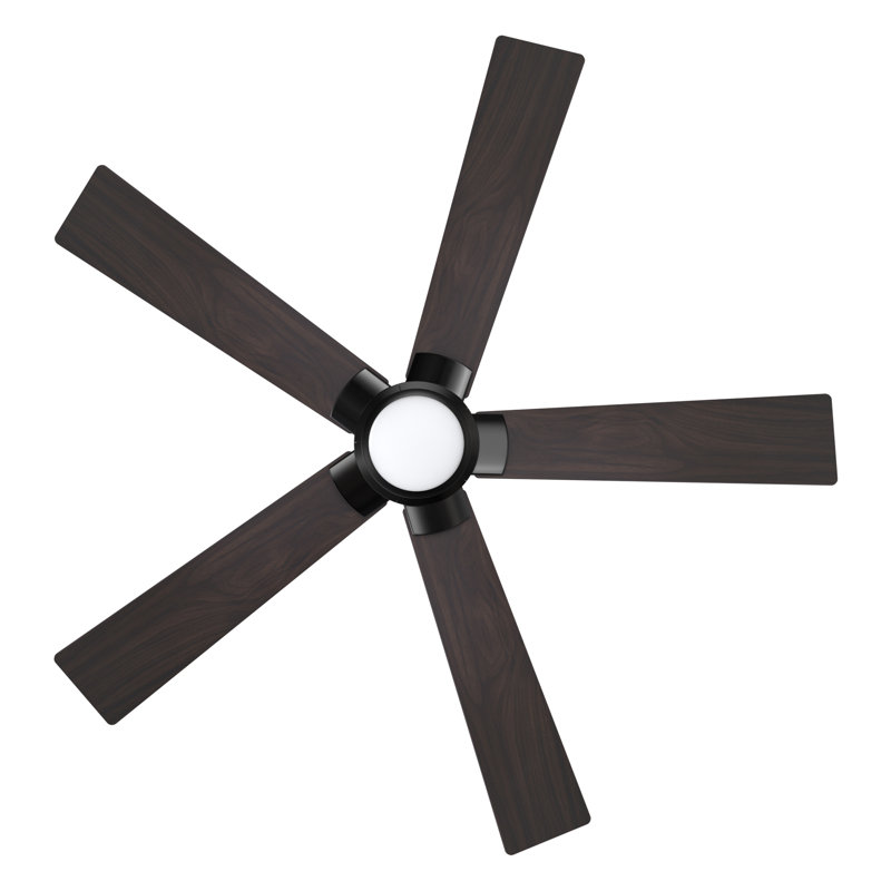 52 Inches Black Flush-Mount DC Motor Ceiling Fan with Light, Remote Control, Dark Walnut, Black
