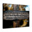 Live Unto Righteousness 1 Peter 2:24 - Wrapped Canvas Print-535350890