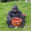 Sculpture de jardin d'extérieur pour jardin pot de fleurs pour chimpanzés - décoration de statue de jardin unique, ornement extérieur de loi intéressante