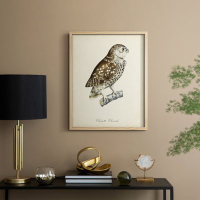French Owls I Framed Print - Solid Wood