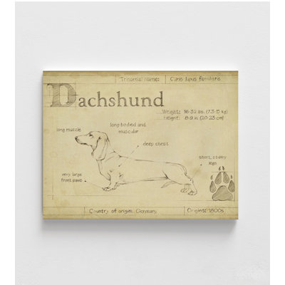 Reproduction d'affiche Alay teckel, art mural encadré chien saucisse, teckel Fine Art, Mini teckel Art, petit chien, impression d'art mural