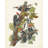 Pileated Woodpecker (decorative border)-283094463