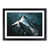 Black Framed selected