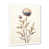 White Single Picture Framed