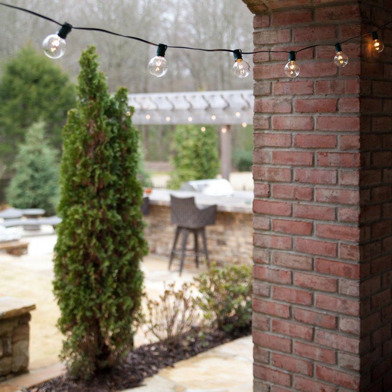 Outdoor 25 - Bulb 300'' Plug-in Globe String Light