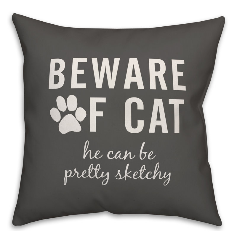 Throw Pillow