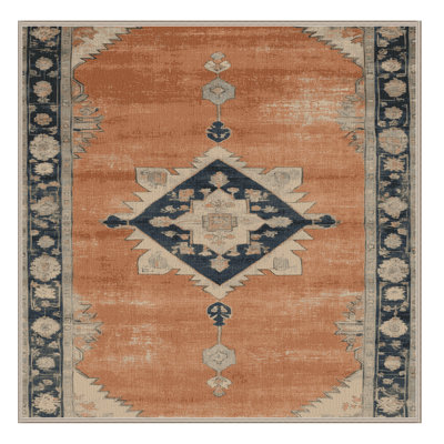 Machine Washable Overdyed Brown Area Rug