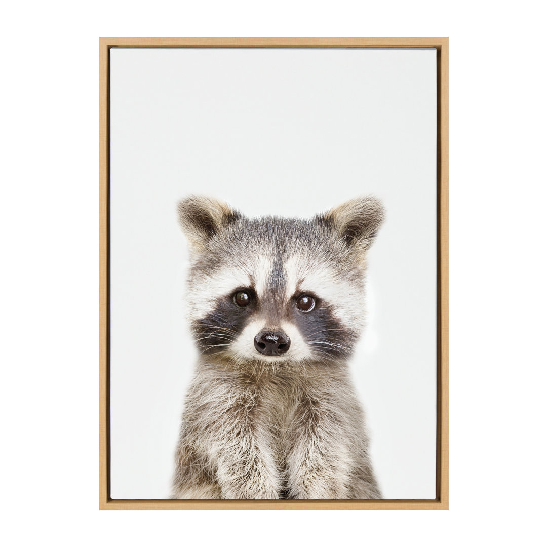 Kiranveer 'Studio Raccoon' by Amy Peterson - Floater Frame Graphic Art Print on Canvas Trinx 