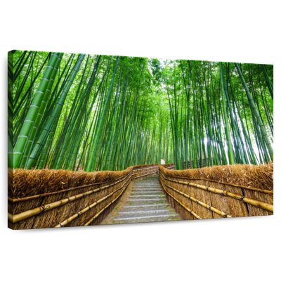 Sentier Nicci Arashiyama