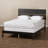 Hanzel Jensen Solid Wood Standard Bed-1668621936-1668621939