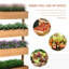 Lit de jardin vertical - Jardinière en bois orange à 4 niveaux pour les herbes extérieures