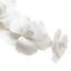 Tige d'orchidée tulipe-22694675