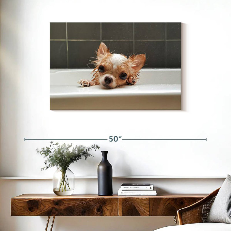 Brampt Chihuahua Bathing, H 24 po x l 36 po
