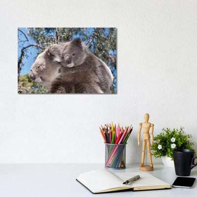 Koala Mother Carrying Young in Gum Tree Forest, Victoria, Australia 1 Piece Wrapped Canvas Wall Art